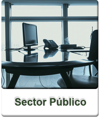 boton sectores publico